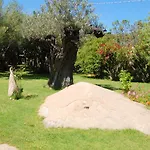 Charming In Olbia With Garden, 35 M² Apartment