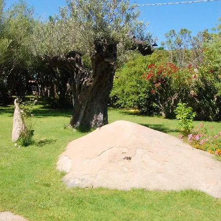 Charming In Olbia With Garden, 35 M² 아파트
