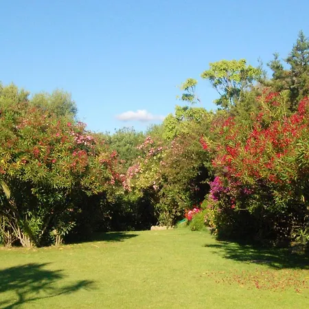 Charming Studio In Olbia With Garden 35 M² Porto Rotondo