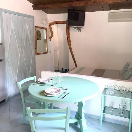 公寓 Charming In Olbia With Garden, 35 M² 罗通多港