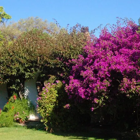 Charming Studio In Olbia With Garden 35 M²