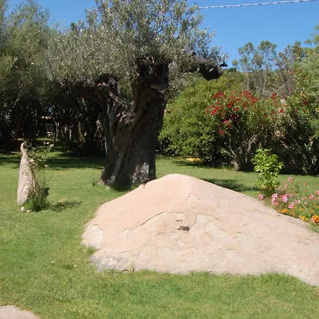 Charming In Olbia With Garden, 35 M² Apartment *