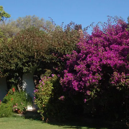 Apartment Charming In Olbia With Garden, 35 M² *
