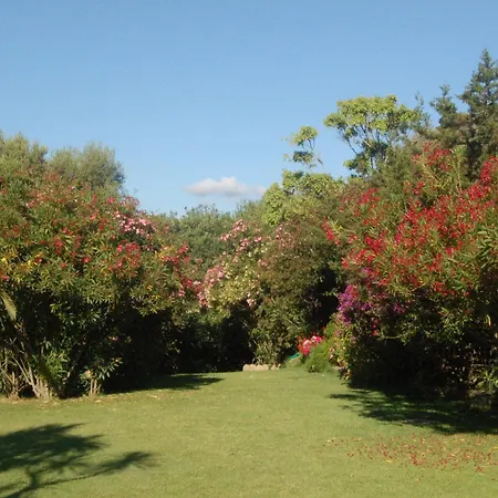 Apartment Charming In Olbia With Garden, 35 M² *
