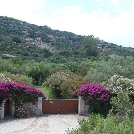 Apartment Charming In Olbia With Garden, 35 M² Porto Rotondo