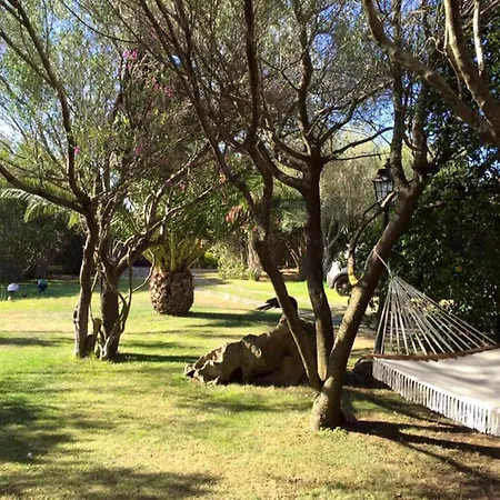 Charming In Olbia With Garden, 35 M² Apartment